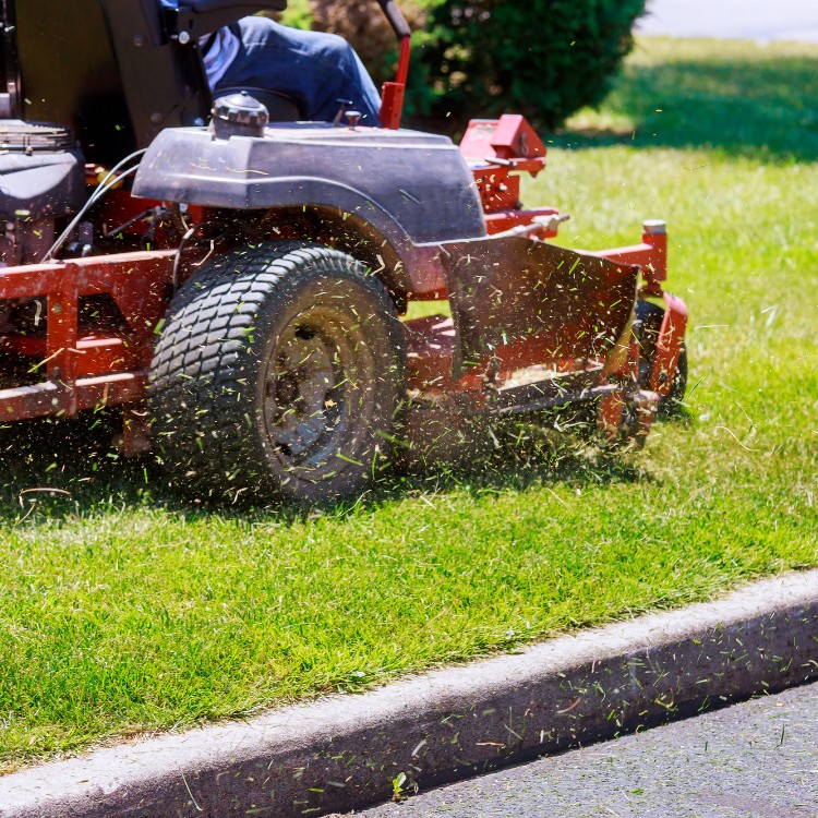 Lawn Care and Landscaping in King George, VA Lawn Care and Landscaping in King George, VA