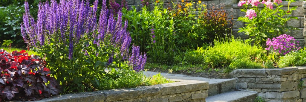 Lawn Care and Landscaping in King George, VA